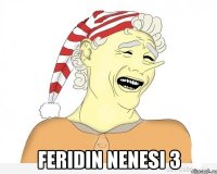  Feridin nenesi 3