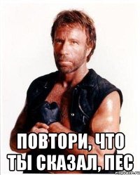  повтори, что ты сказал, пес