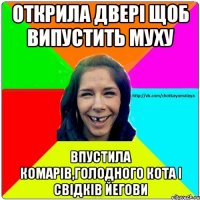 Открила двері щоб випустить муху впустила комарів,голодного кота і свідків йегови