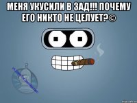 Меня укусили в зад!!! Почему его никто не целует?© 