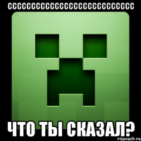 ссссссссссссссссссссссссссс что ты сказал?