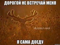 Дорогой не встречай меня я сама доеду