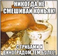 Никогда не смешивай коньяк! С грибами и виноградом тем более!