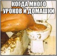 когда много уроков и домашки 