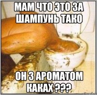 мам что это за шампунь тако он з ароматом каках ???