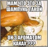 мам что это за шампунь такой он з ароматом каках ???