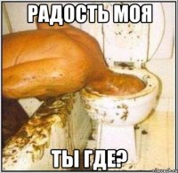 Радость моя ты где?