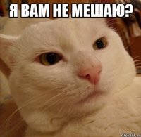 я вам не мешаю? 