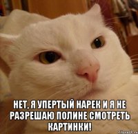  Нет, я упертый Нарек и я не разрешаю Полине смотреть картинки!