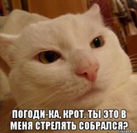  Погоди-ка, Крот. Ты это в меня стрелять собрался?