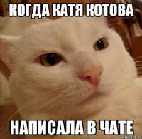 Когда Катя Котова Написала в Чате