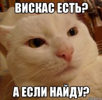 Вискас есть? А если найду?