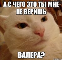 А с чего это ты мне не веришь Валера?