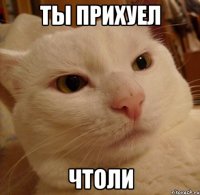 ты прихуел чтоли