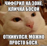 ЧИФЕРИЛ на зоне, кличка Босой Откинулся, можно просто бося.