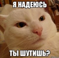 я надеюсь ты шутишь?