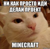 Ни как просто иди делай проект minecraft