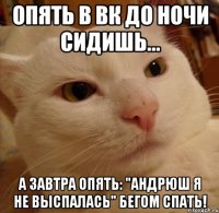 Опять в вк до ночи сидишь... А завтра опять: "Андрюш я не выспалась" Бегом спать!