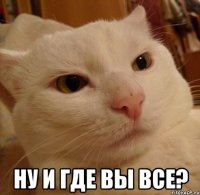  Ну и где вы все?