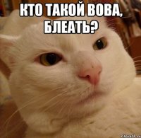 Кто такой Вова, блеать? 