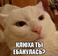  Клюха ты ебанулась?