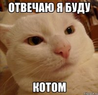 отвечаю я буду котом