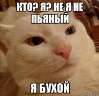 Кто? Я? Не я не пьяный я бухой