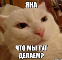 Яна Что мы тут делаем?