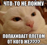 Что-то не пойму Попахивает плетом от кого же????