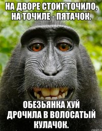 На дворе стоит точило, На точиле - пятачок. Обезьянка хуй дрочила В волосатый кулачок.