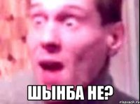  шынба не?