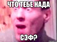 ЧТО ТЕБЕ НАДА СЭФ?