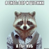 Я ЕНОТ: ВОР И ШУТНИК А ТЫ: НУБ