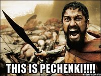  This is PECHENKI!!!!