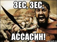 Зес, зес, Ассасин!