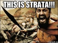 This is STRATA!!! 