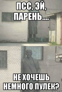 Псс, эй, парень.... Не хочешь немного пулек?