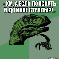 - Хм, а если поискать в домике Стеллы?!.. 