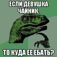 ЕСЛИ ДЕВУШКА ЧАЙНИК, ТО КУДА ЕЕ ЕБАТЬ?