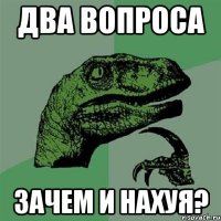 Два вопроса Зачем и нахуя?