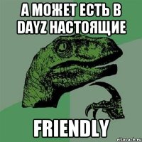 А может есть в Dayz настоящие friendly