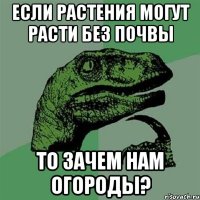 если растения могут расти без почвы то зачем нам огороды?