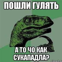 Пошли гулять а то чо как сукападла?