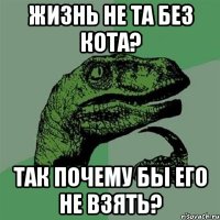 ЖИЗНЬ НЕ ТА БЕЗ КОТА? ТАК ПОЧЕМУ БЫ ЕГО НЕ ВЗЯТЬ?