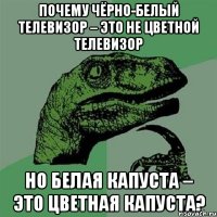 Почему чёрно-белый телевизор – это не цветной телевизор но белая капуста – это цветная капуста?