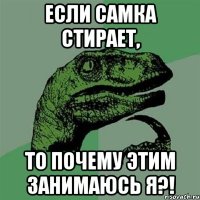 Если самка стирает, то почему этим занимаюсь я?!