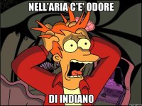 Nell'aria c'e' odore Di indiano