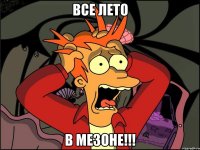 все лето в мезоне!!!