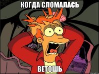 когда сломалась ветошь