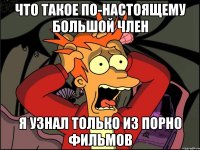 ЧТО ТАКОЕ ПО-НАСТОЯЩЕМУ БОЛЬШОЙ ЧЛЕН Я УЗНАЛ ТОЛЬКО ИЗ ПОРНО ФИЛЬМОВ